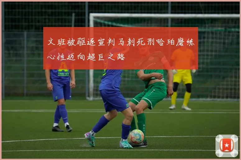 文班被驱逐宣判马刺死刑哈珀磨练心性迈向超巨之路